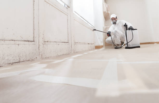 24/7 Emergency Attic Mold Removal experts in Hermitage, TN